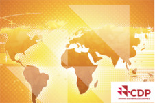 CDP supply chain report